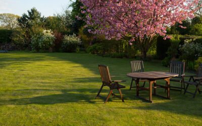 Nowe technologie w analizie gleby: Jak innowacje wpływają na optymalizację upraw